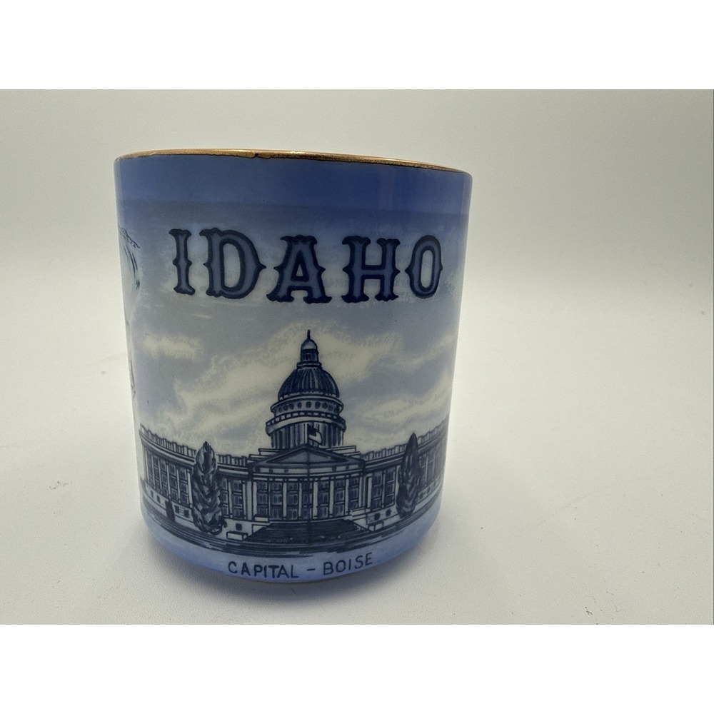 Vtg Idaho Capital Boise Fishing Lake Souvenir Coffee Mug Japan IAAC Blue White